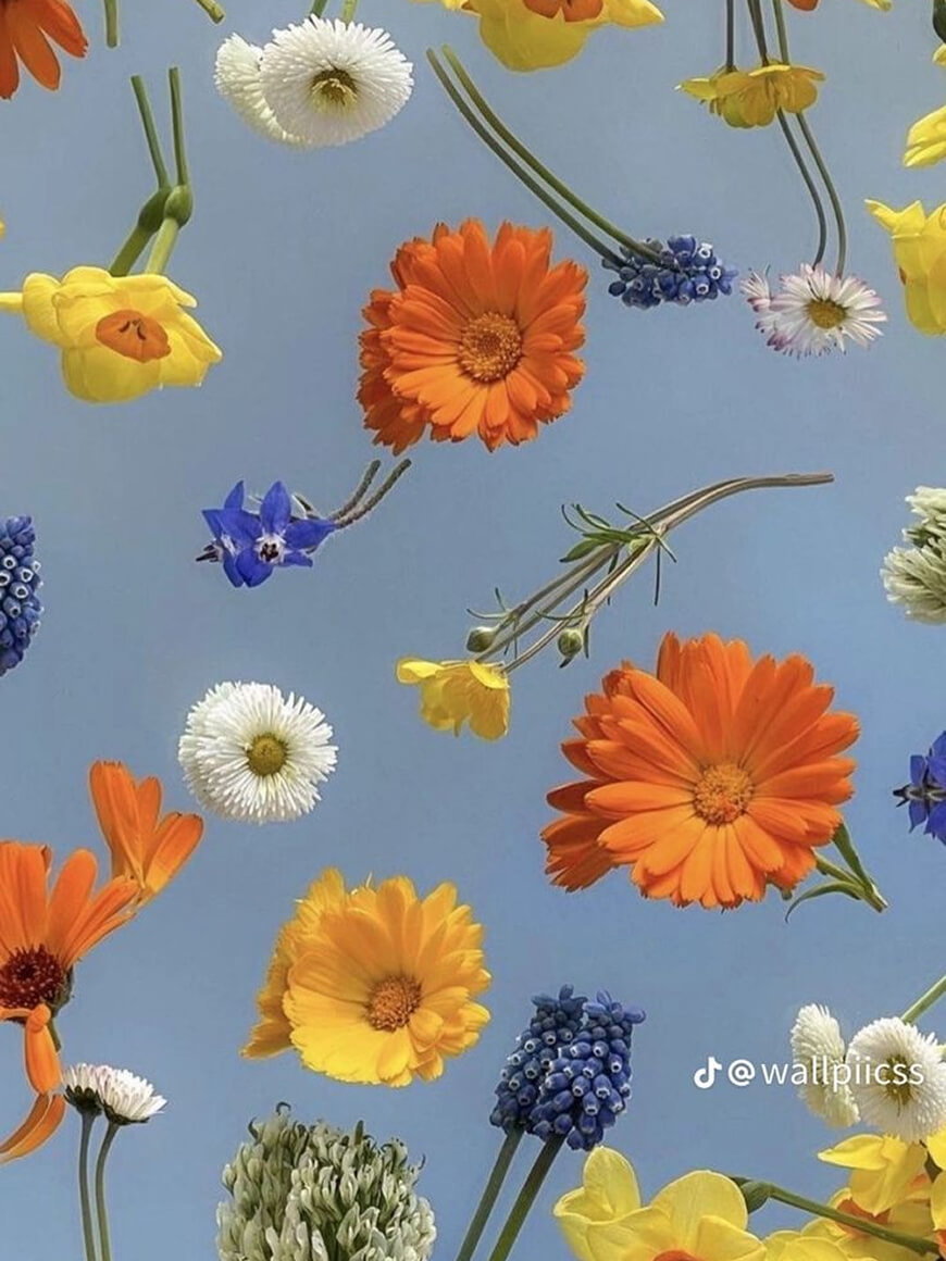 In Bloom speaker works